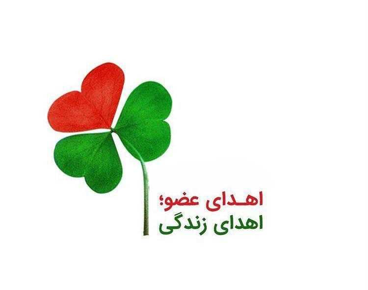 ۲۵ اهدا عضور در مازندران صورت پذیرفت